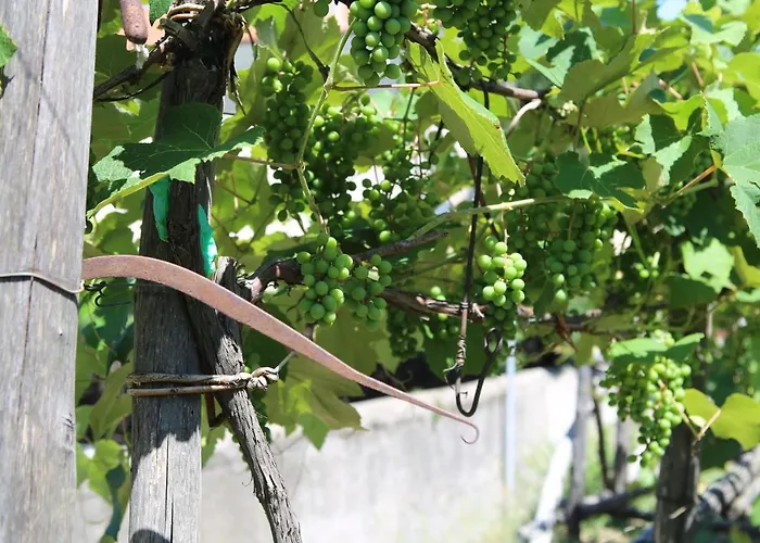 Bianco Latte Gragnano